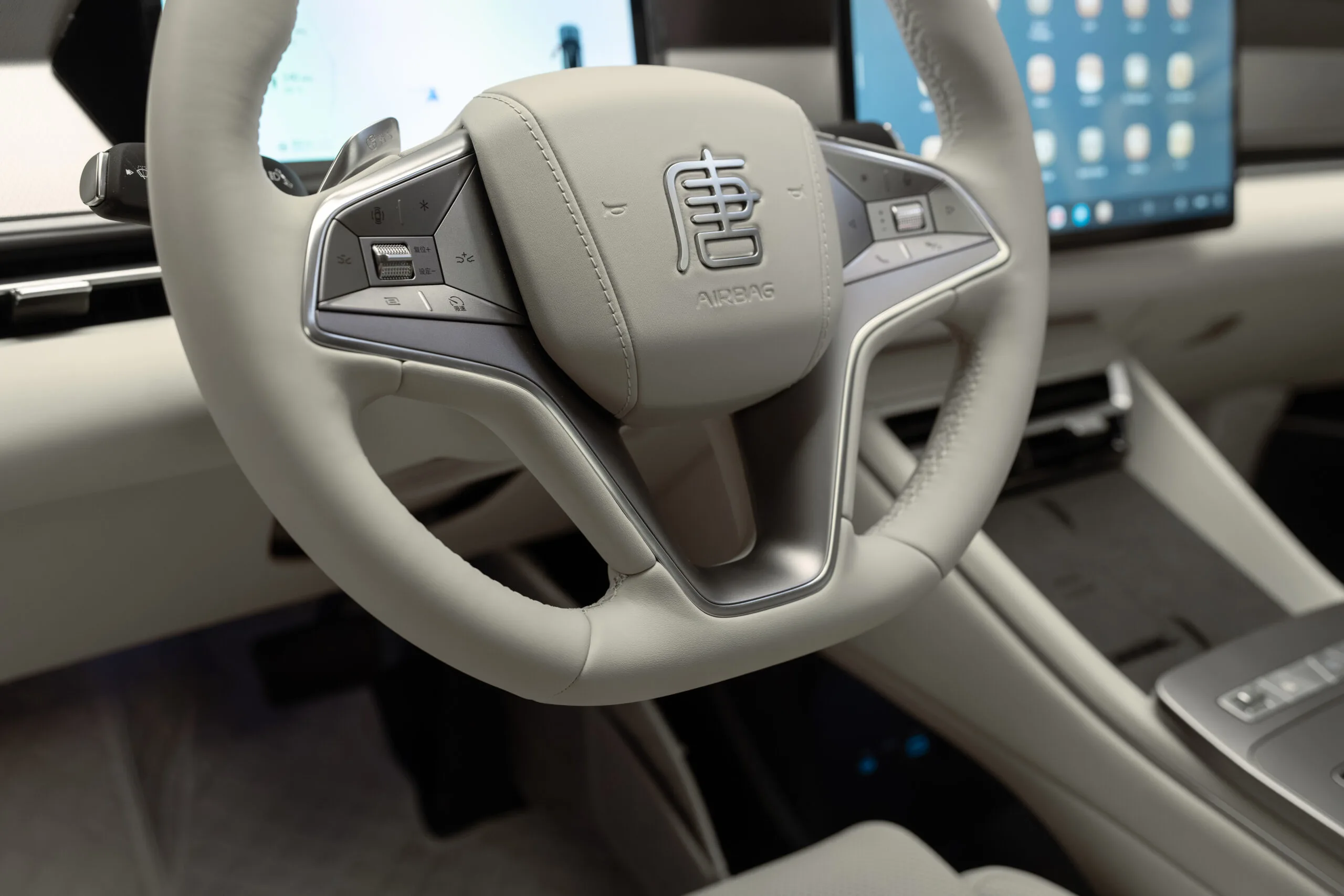 2025 BYD Tang L DM-p, 18/30