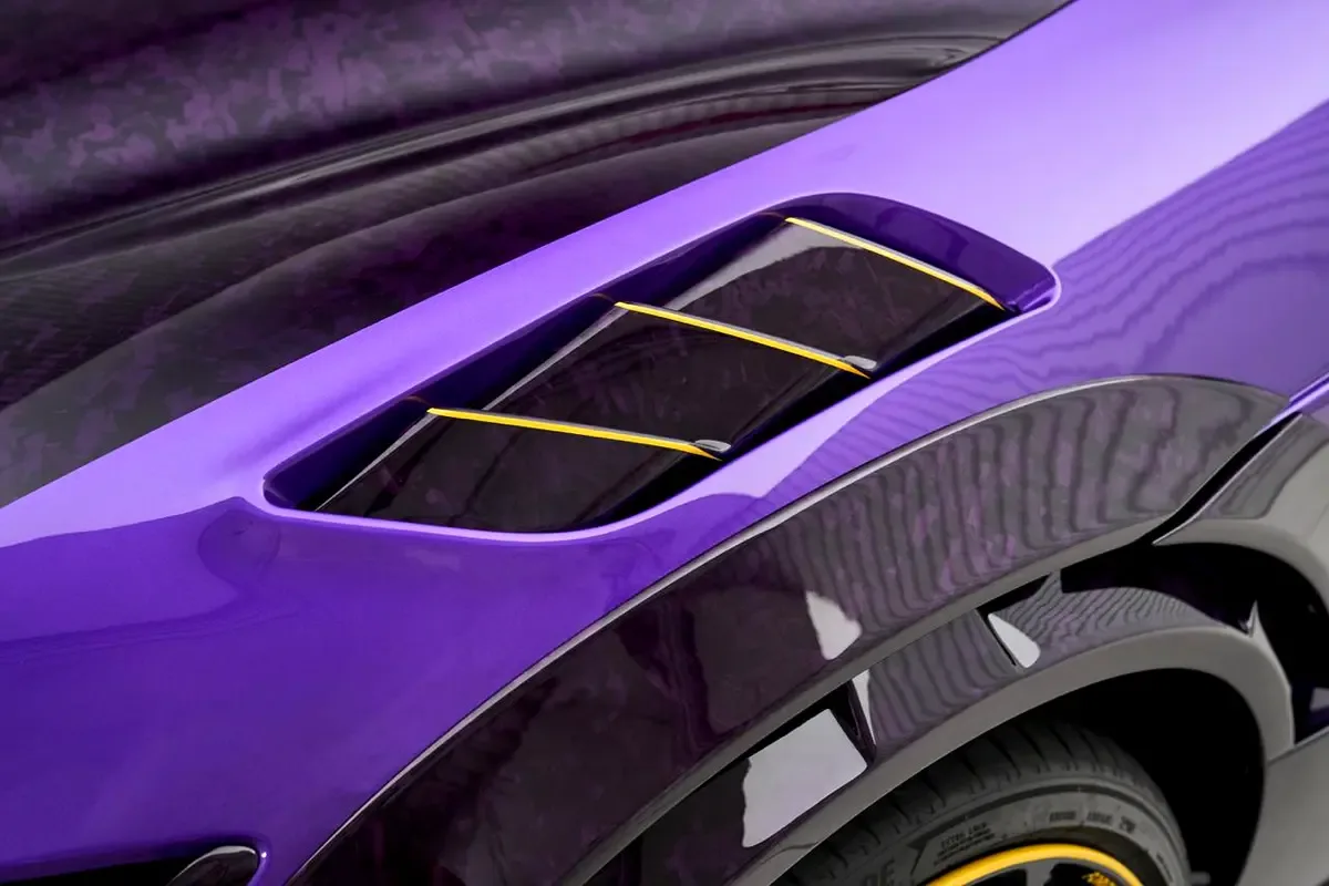 2025 Ferrari Purosangue by Mansory Pugnator, 9/18