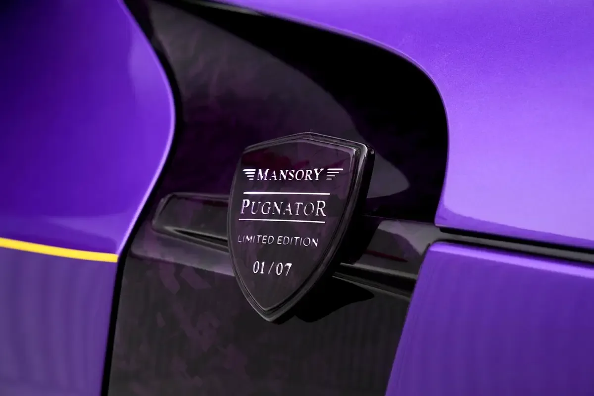 2025 Ferrari Purosangue by Mansory Pugnator, 11/18