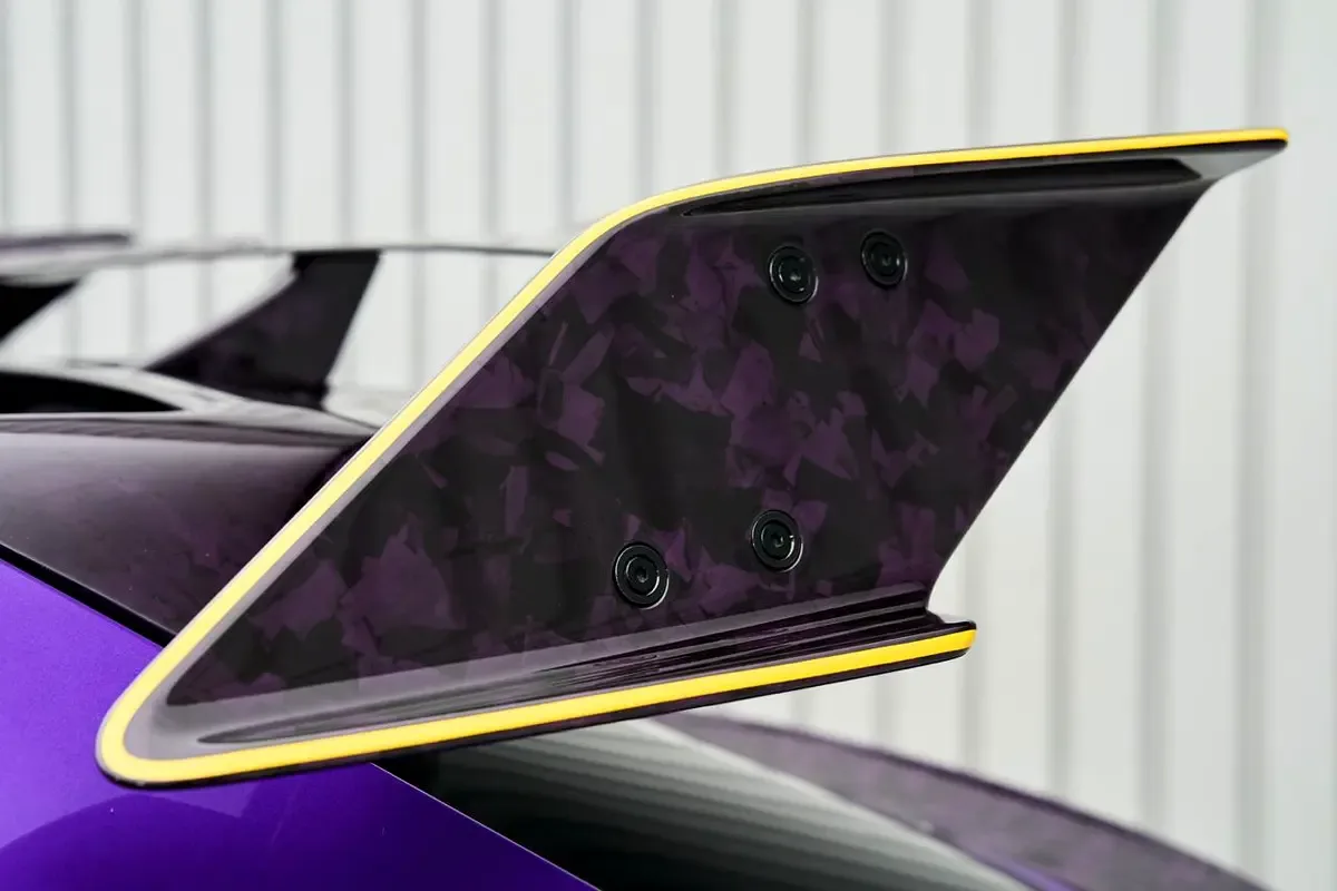 2025 Ferrari Purosangue by Mansory Pugnator, 13/18