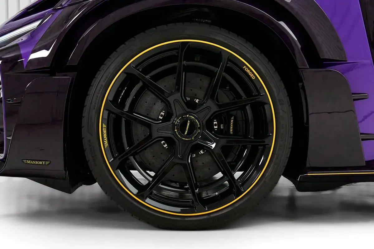 2025 Ferrari Purosangue by Mansory Pugnator, 15/18