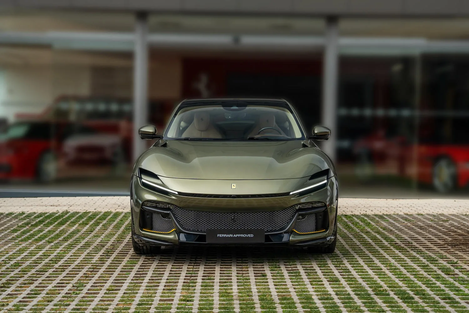 2025 Ferrari Purosangue angeboten von einem Fachhändler in San Pedro Alcántara, Spanien, Hauptfoto