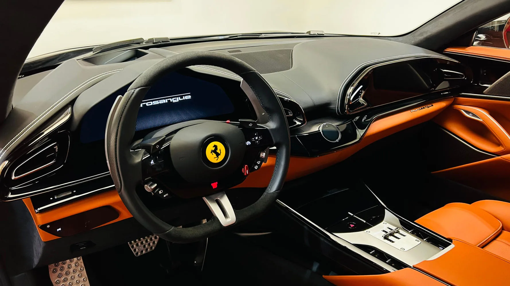 2025 Ferrari Purosangue, 5/30