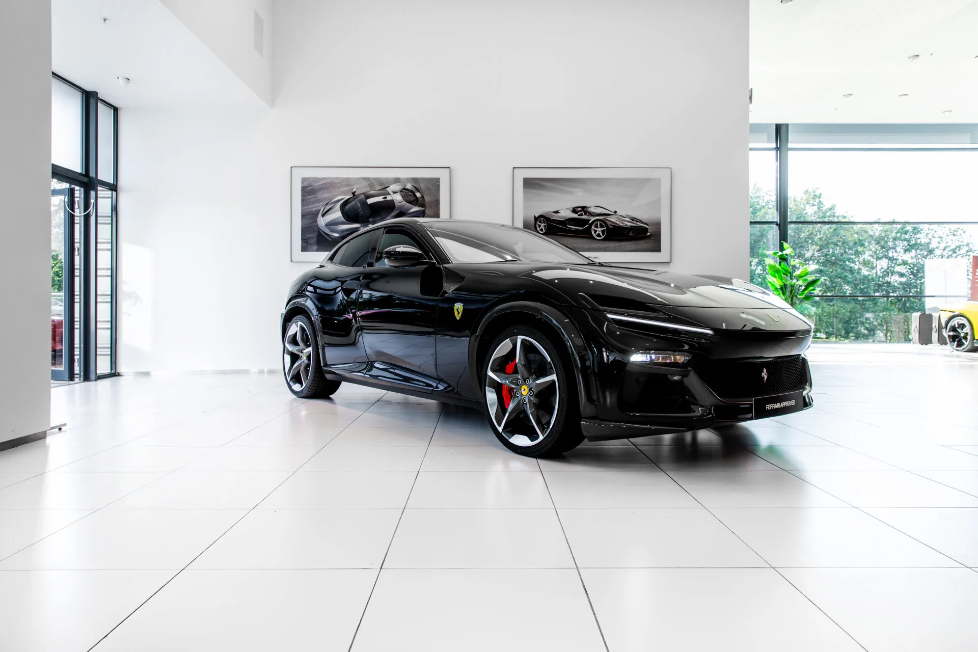 2025 Ferrari Purosangue angeboten von einem Fachhändler in Hengelo, Niederlande, Hauptfoto