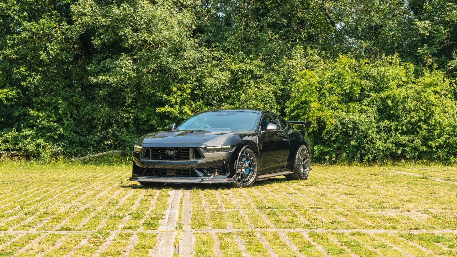 2025 Ford Mustang Dark Horse CS800, 2/9