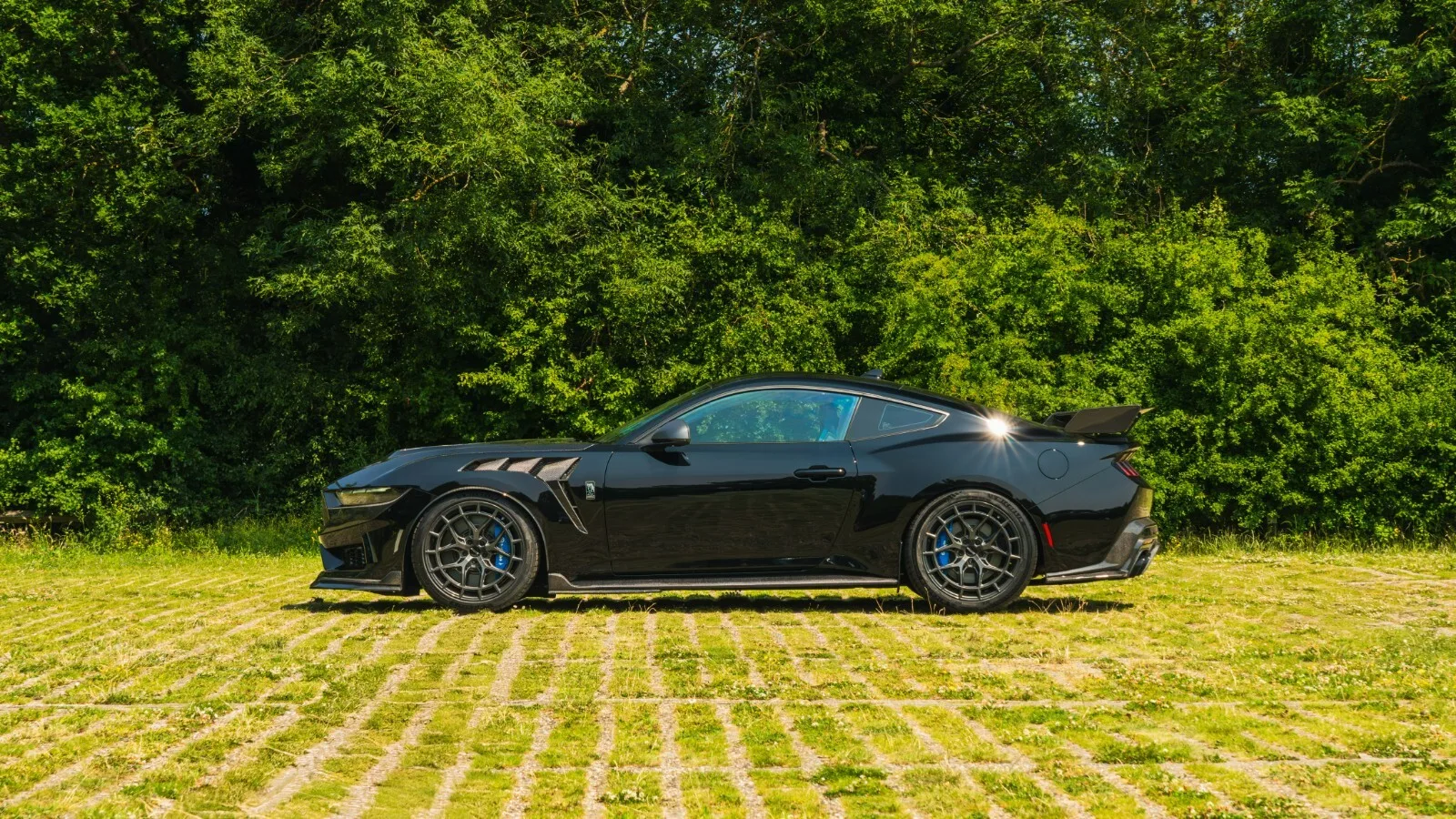 2025 Ford Mustang Dark Horse CS800, 3/9