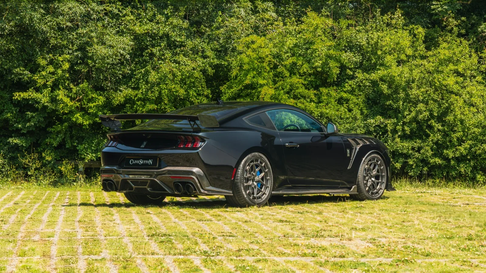 2025 Ford Mustang Dark Horse CS800, 4/9