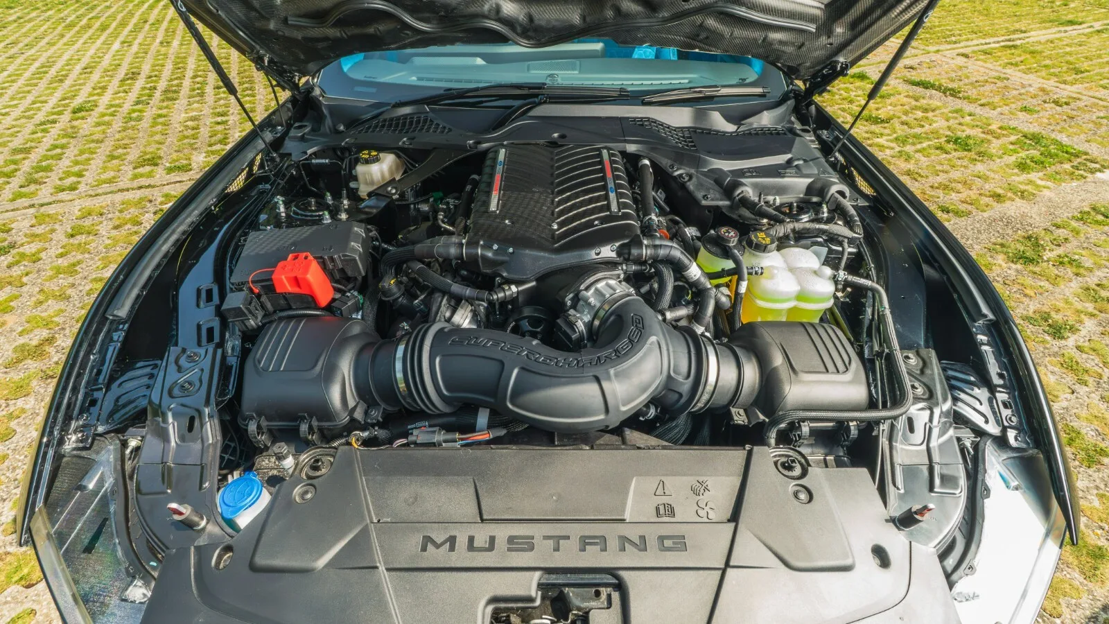 2025 Ford Mustang Dark Horse CS800, 9/9
