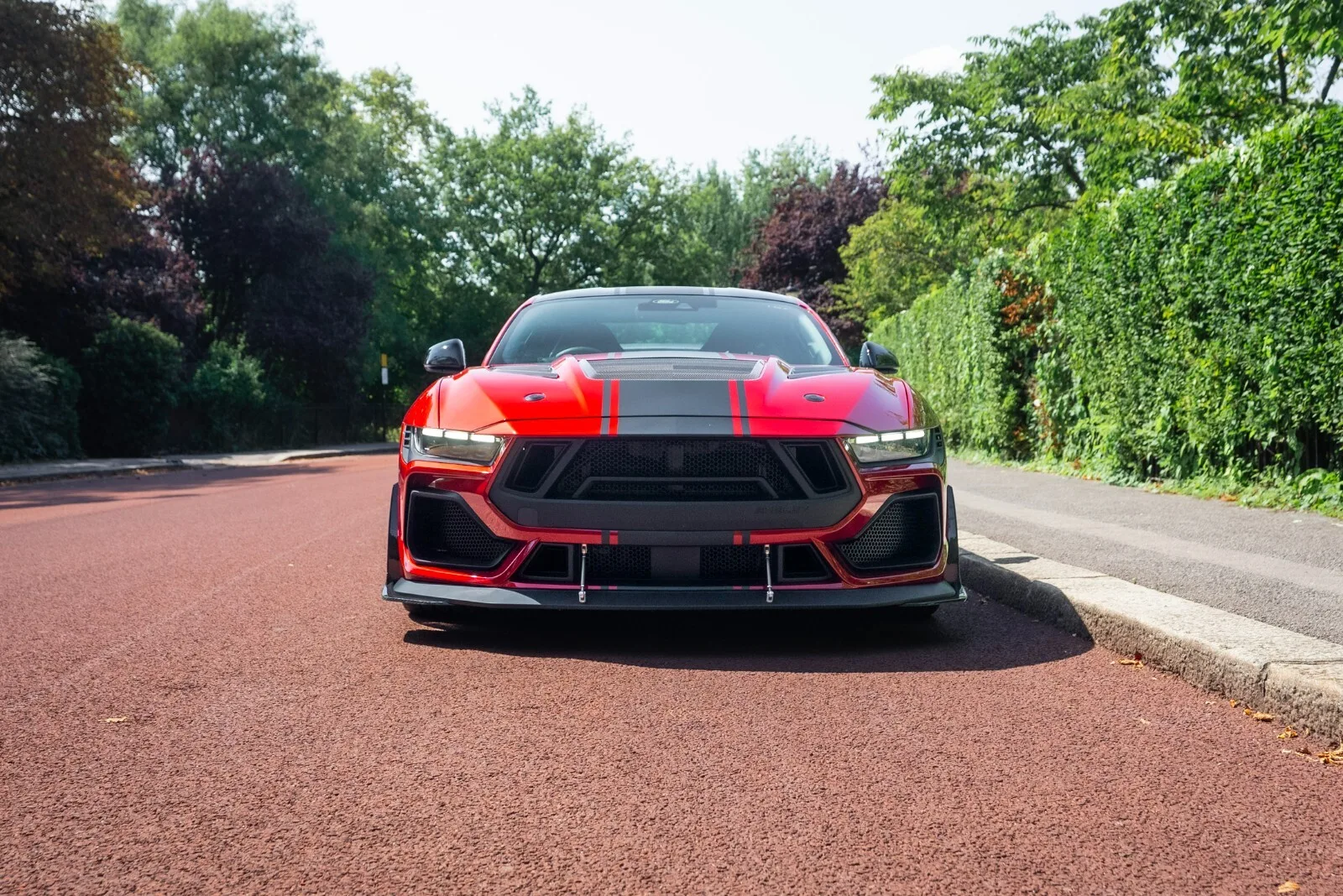 2025 Ford Shelby Mustang Super Snake, 2/30