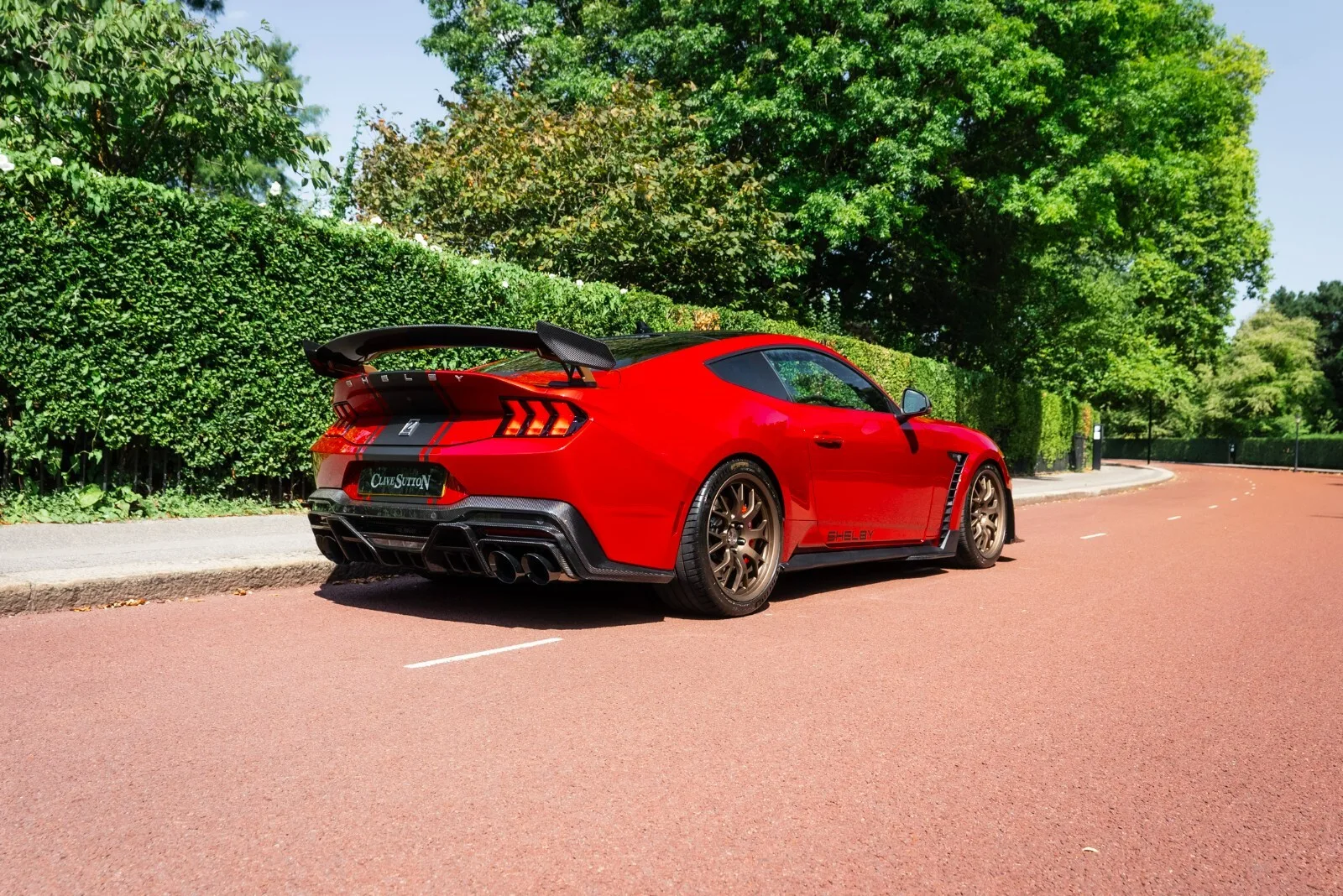 2025 Ford Shelby Mustang Super Snake, 4/30