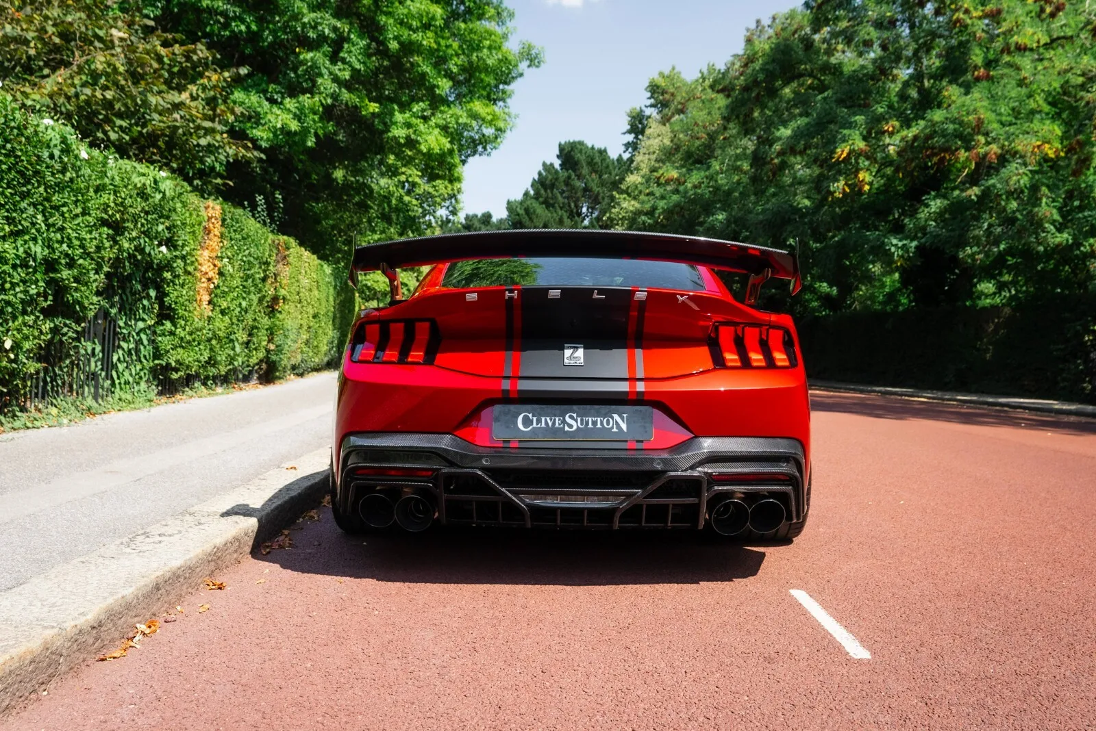 2025 Ford Shelby Mustang Super Snake, 5/30