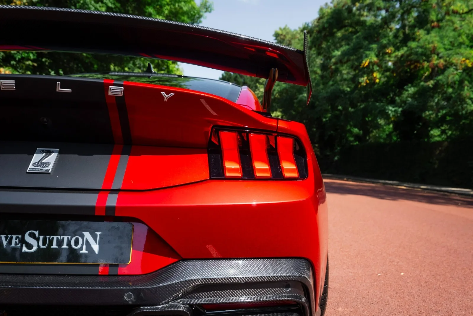 2025 Ford Shelby Mustang Super Snake, 11/30