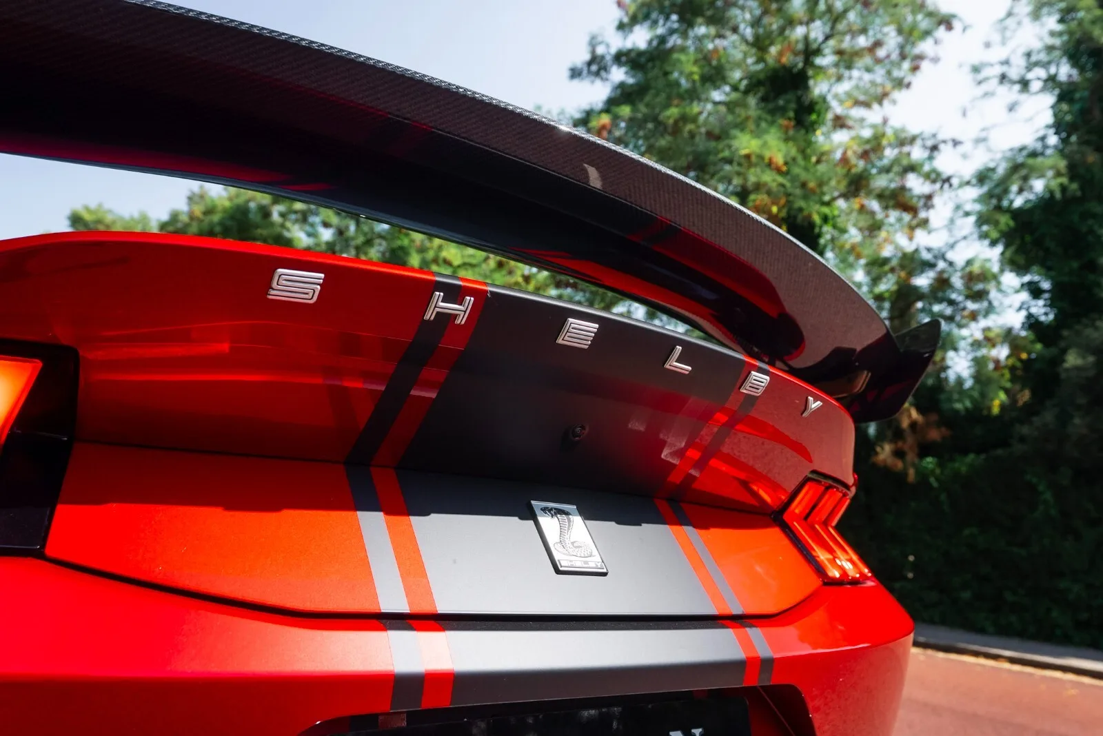 2025 Ford Shelby Mustang Super Snake, 13/30