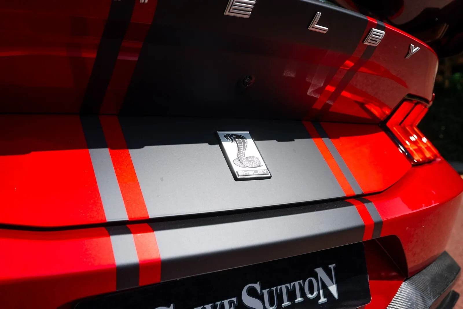 2025 Ford Shelby Mustang Super Snake, 14/30