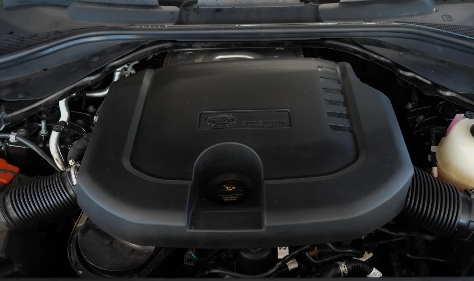 2025 Land Rover Range Rover HSE, 23/23
