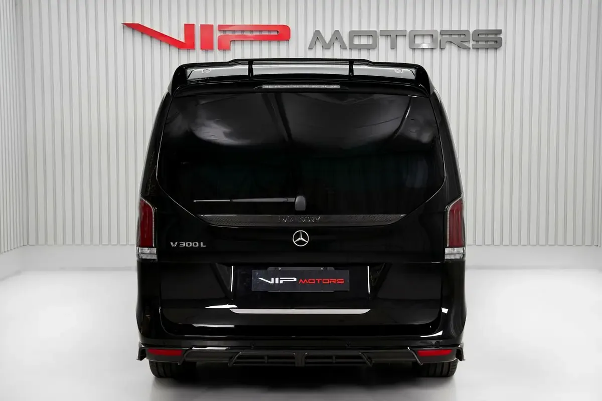 2025 Mercedes-Benz V 300 L by Mansory VVIP, 5/17