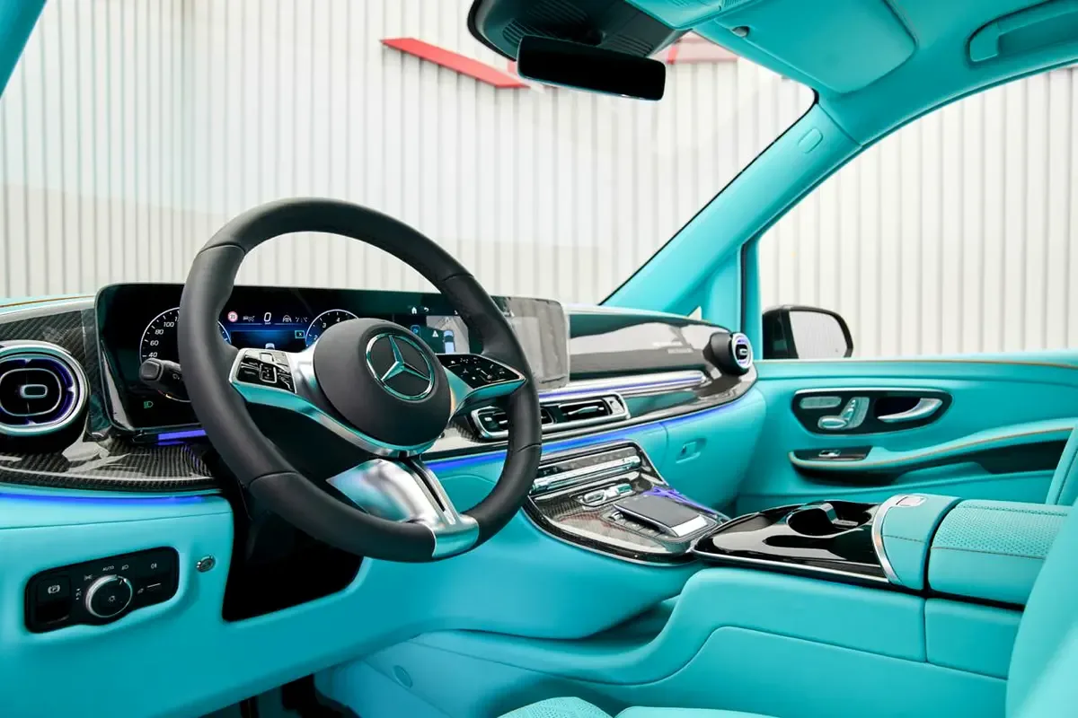 2025 Mercedes-Benz V 300 L by Mansory VVIP, 17/17