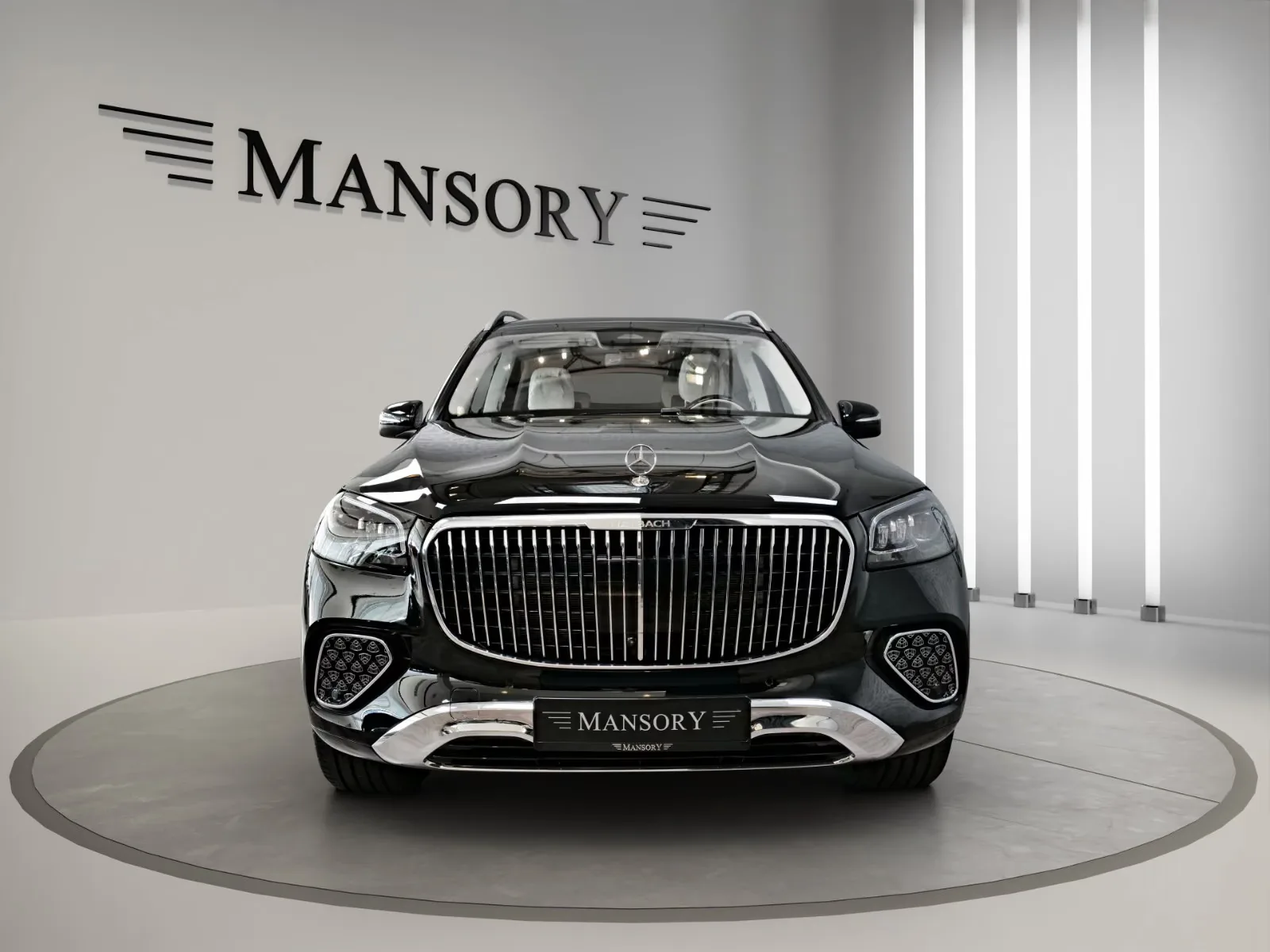 2025 Mercedes-Maybach GLS 600, 2/28