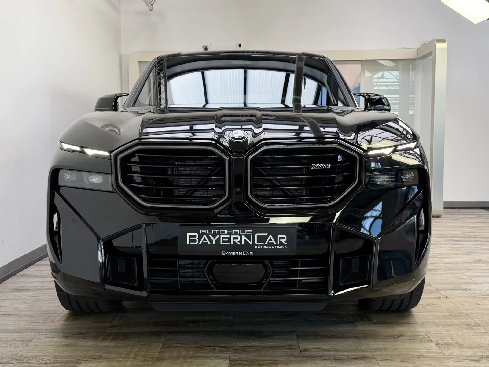 2026 BMW XM 50e, 2/30