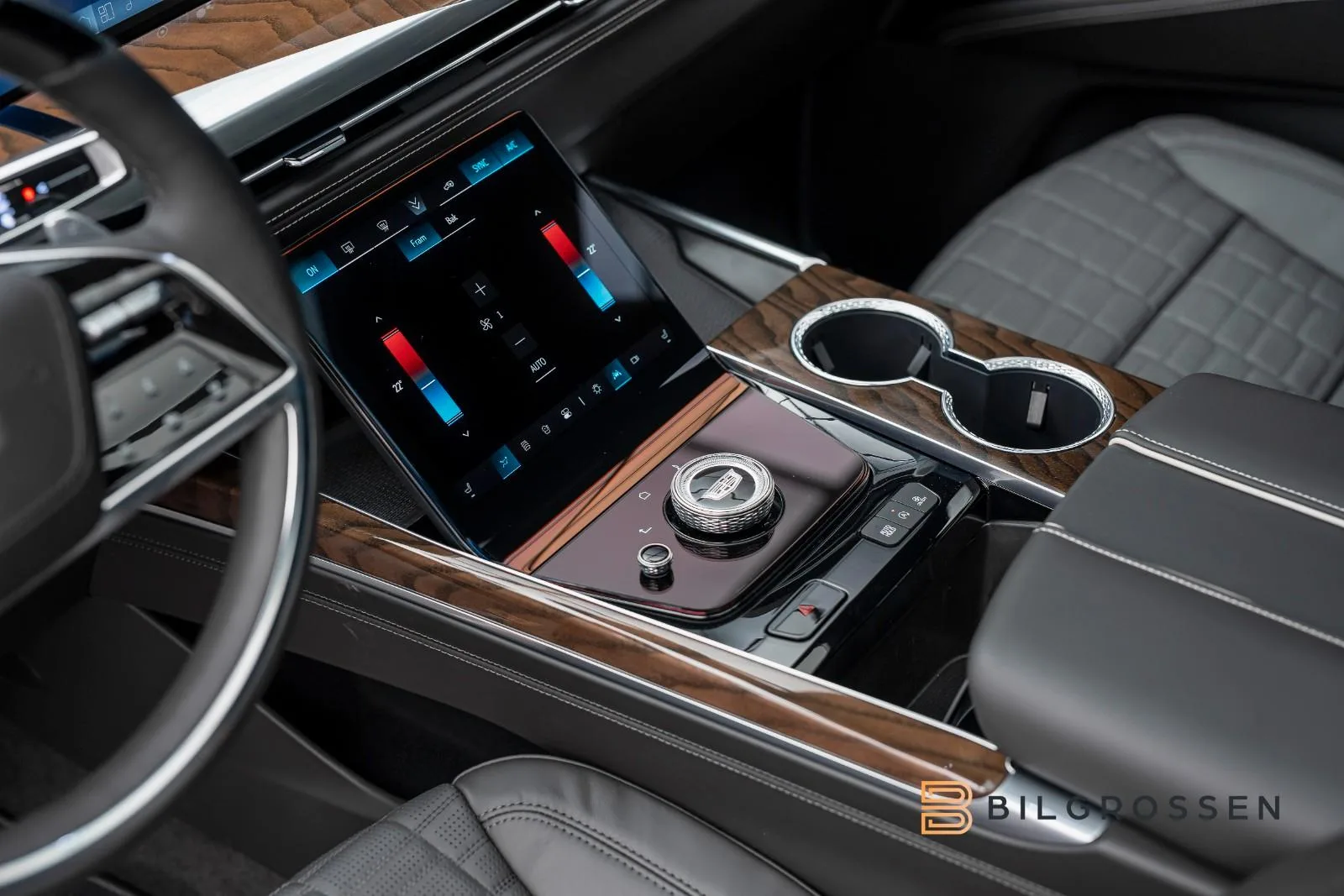 2026 Cadillac Escalade Sport Platinum, 27/30