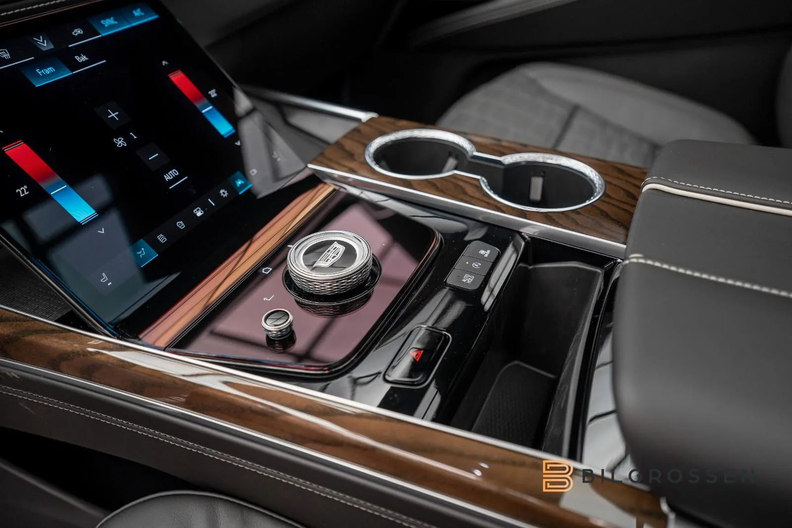 2026 Cadillac Escalade Sport Platinum, 28/30