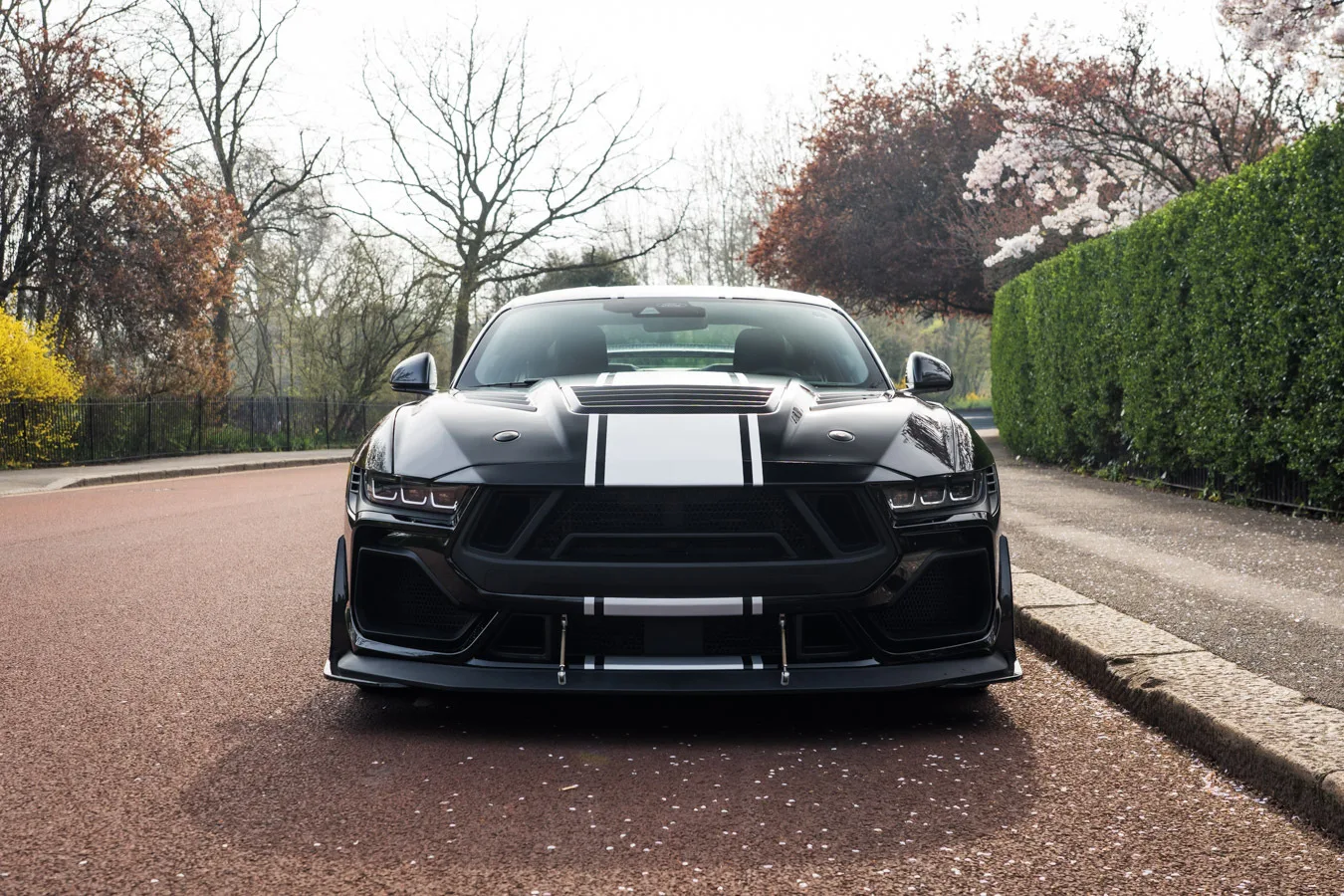 2026 Ford Shelby Mustang Super Snake, 2/30