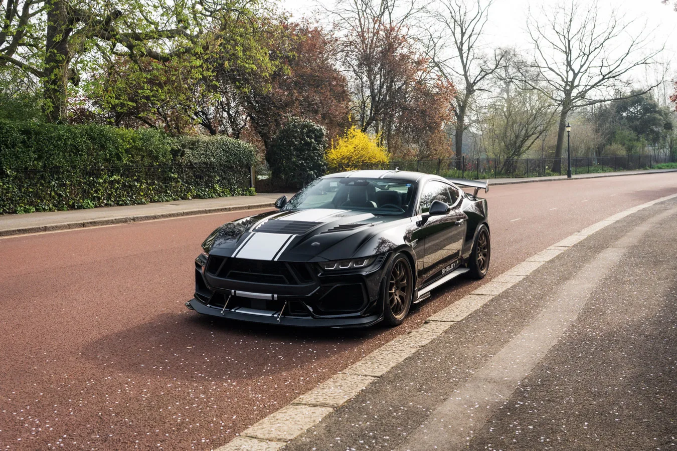 2026 Ford Shelby Mustang Super Snake, 3/30