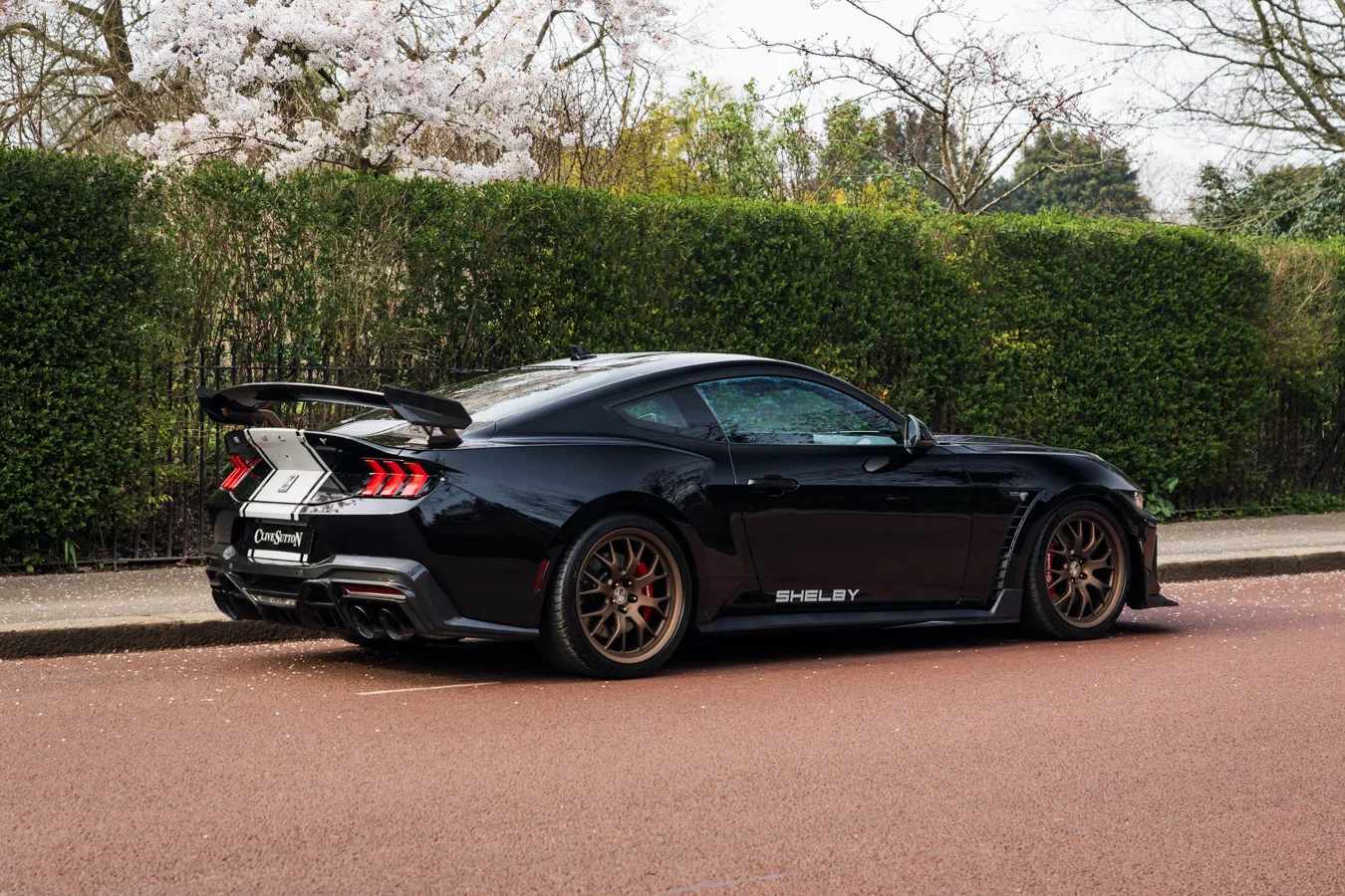 2026 Ford Shelby Mustang Super Snake, 5/30
