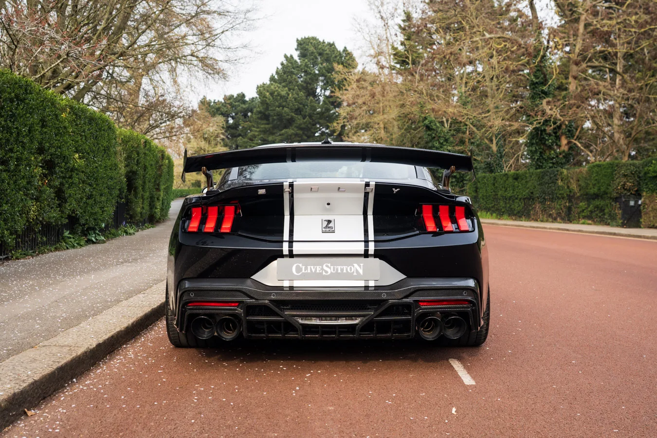 2026 Ford Shelby Mustang Super Snake, 6/30
