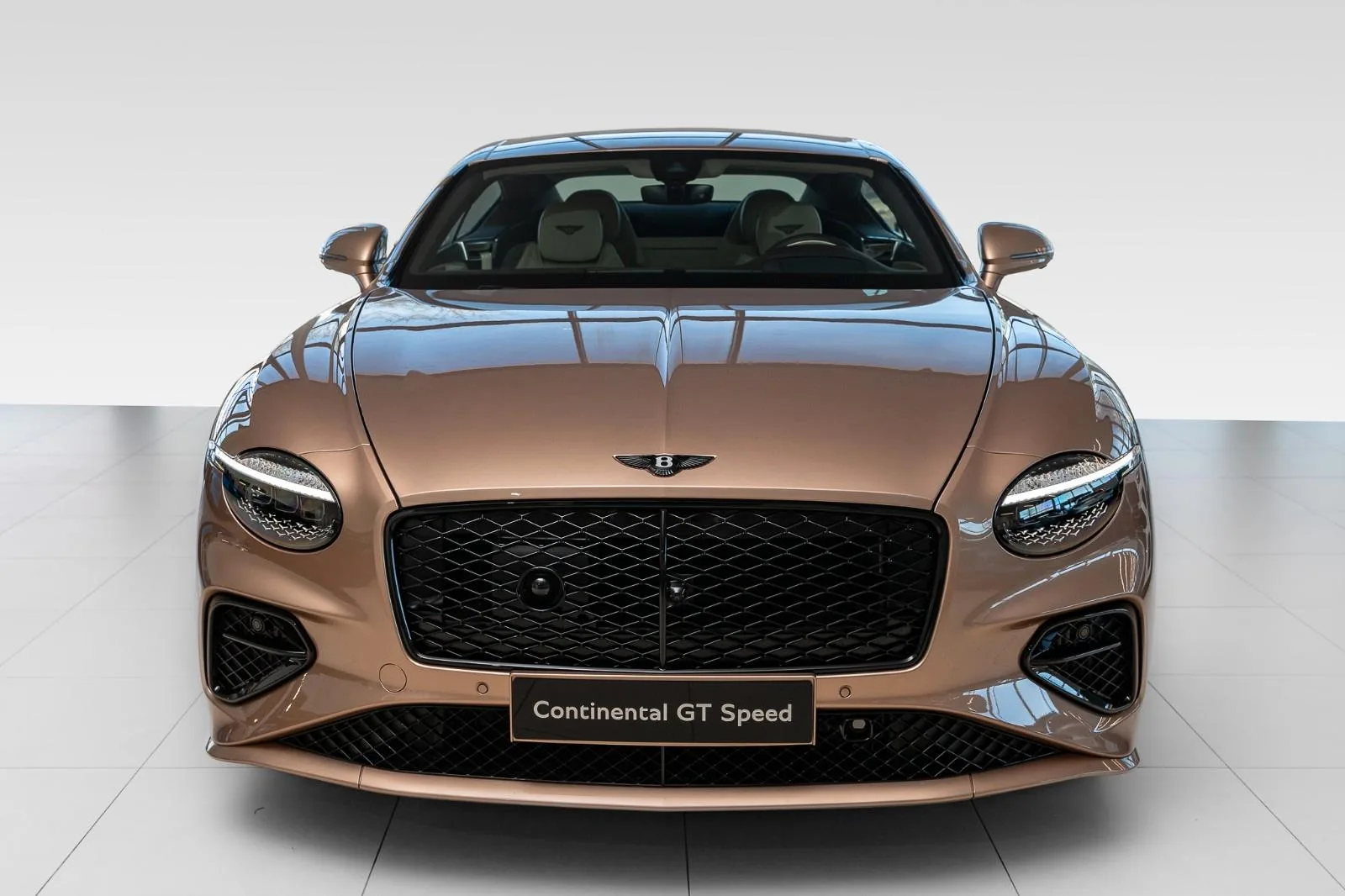 Bentley Continental GT Speed, 2/27