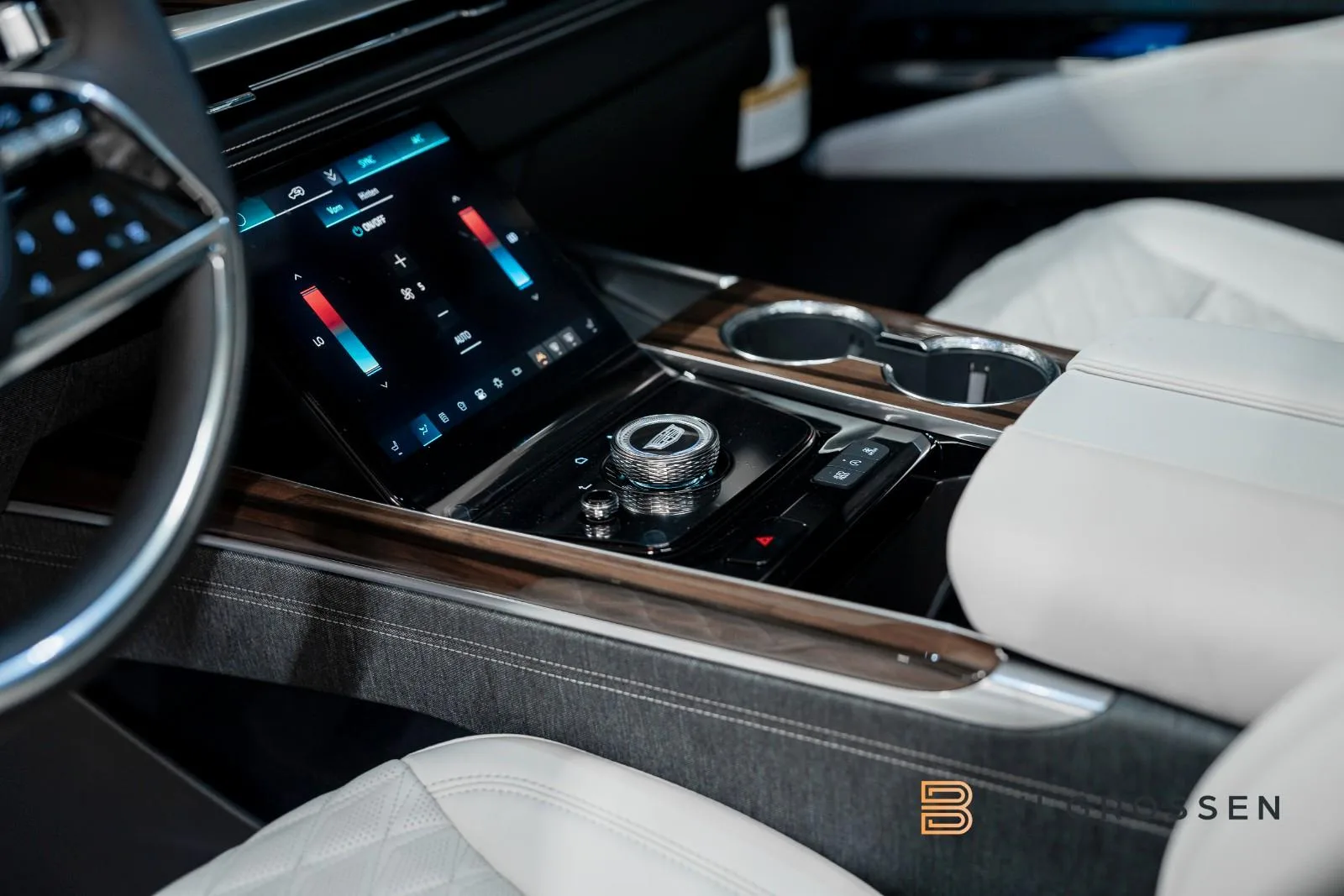 Cadillac Escalade ESV Sport Platinum, 22/24