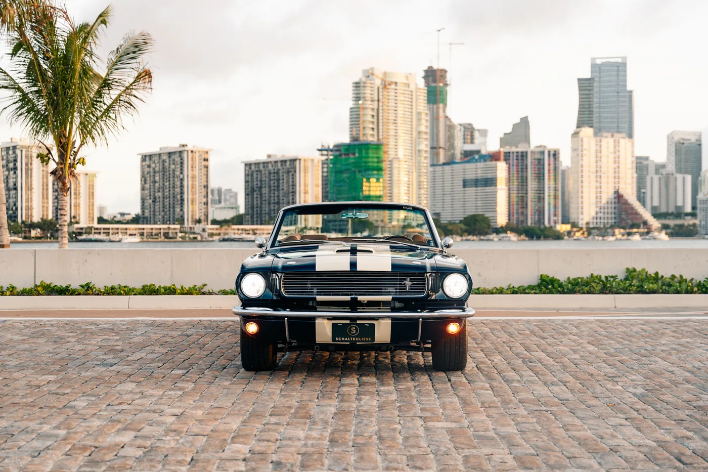Shelby Mustang GT350 Convertible proposée par un concessionnaire spécialisé à Miami, États-Unis, photo 8 sur 15